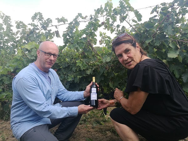 開(kāi)家紅酒店選擇哪個(gè)品牌好?